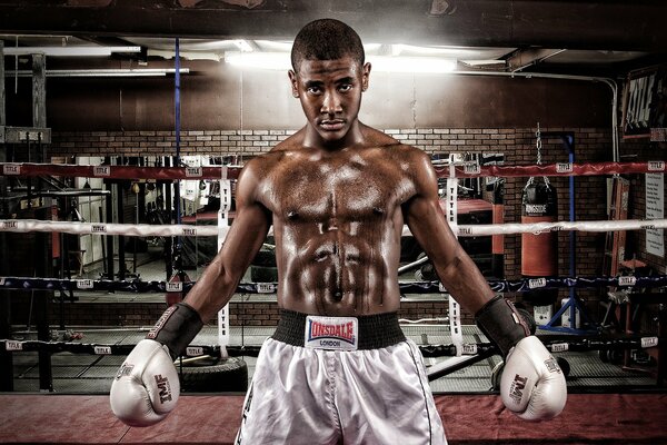 Boxer con un torso muscoloso sul ring