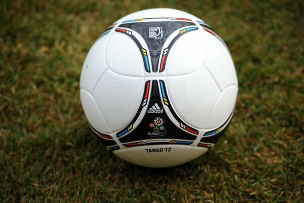 Футбольный мяч на зеленой траве