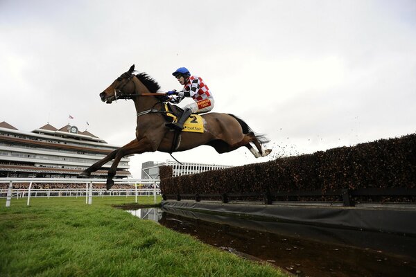 A rider on horseback overcomes an obstacle