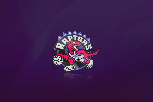 Logo della squadra di basket su sfondo viola