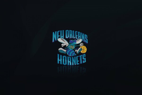 Das Logo des Basketballteams von New Orleans