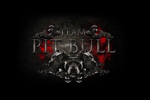 Das Logo des Mixed Martial Arts Teams