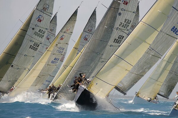 Les yachts participant à la Régate se précipitent sur les vagues