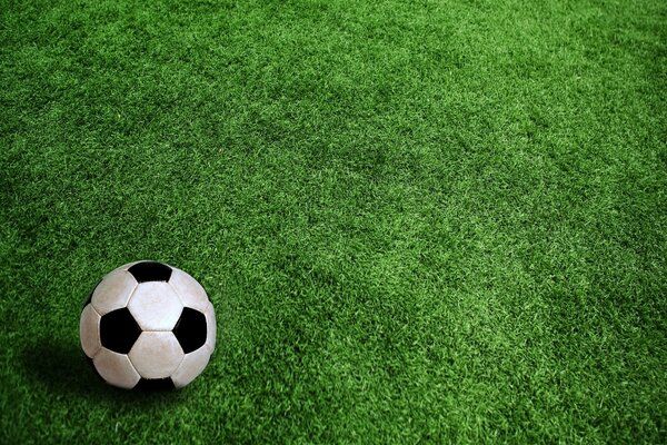 Un pallone da calcio si trova su un campo verde