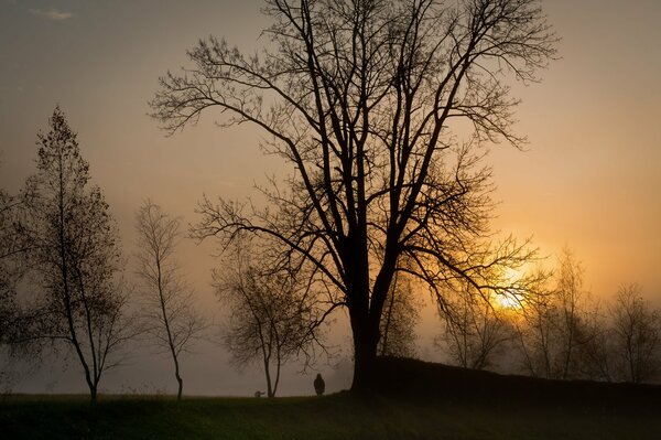 Silhouetten von Menschen im Nebel auf einem Abendspaziergang