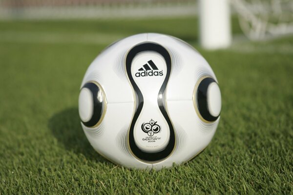 Ballon de football sur le terrain avec le logo Adidas