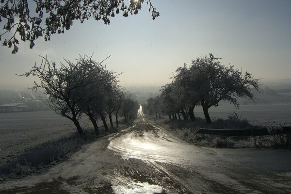 Frostige Morgen, Straße im Nebel