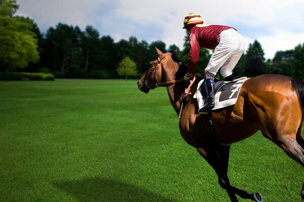 Reiter auf einem Pferd beim Sportrennen