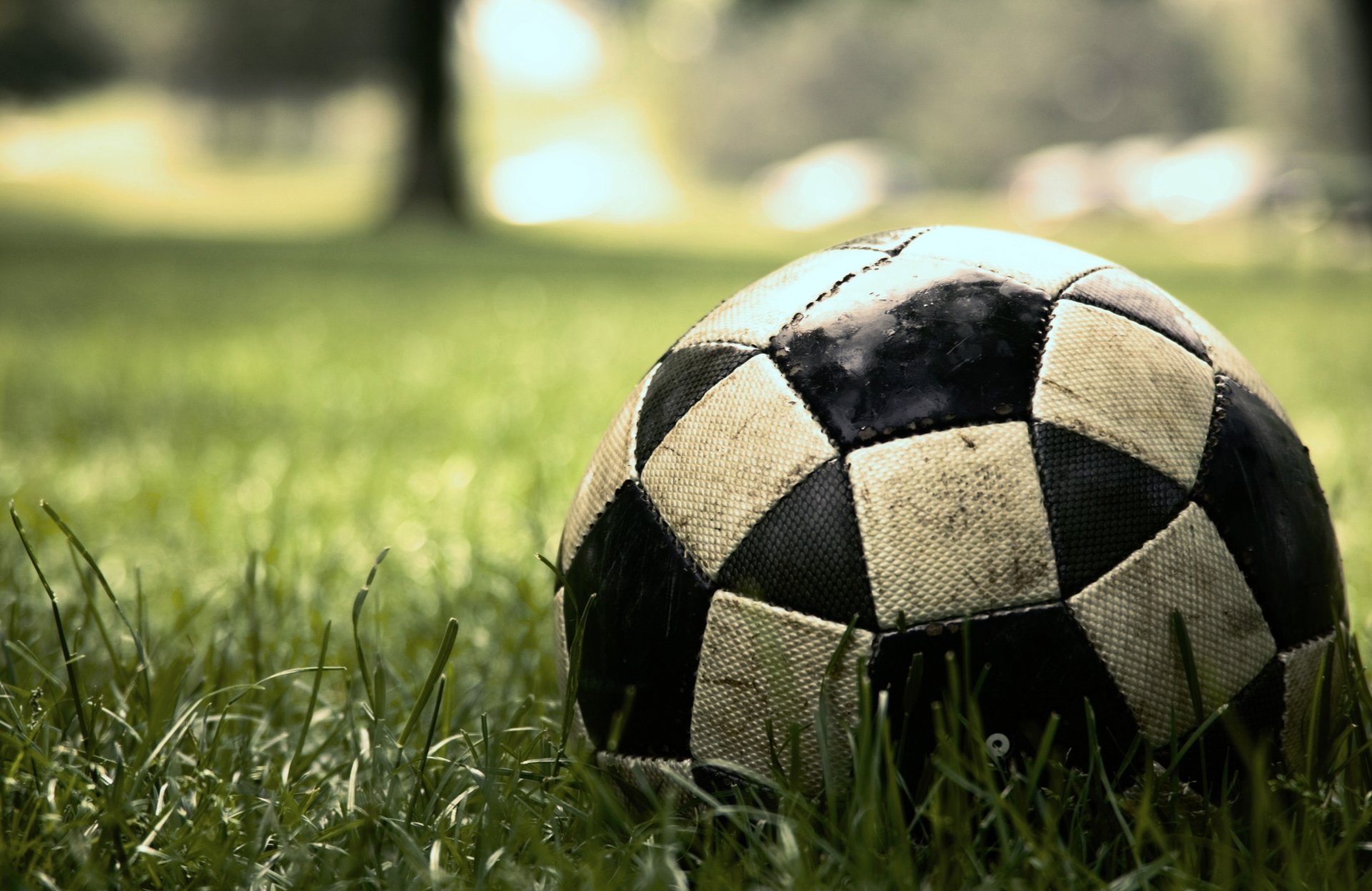 macro hierba césped fútbol juego partido pelota deportes