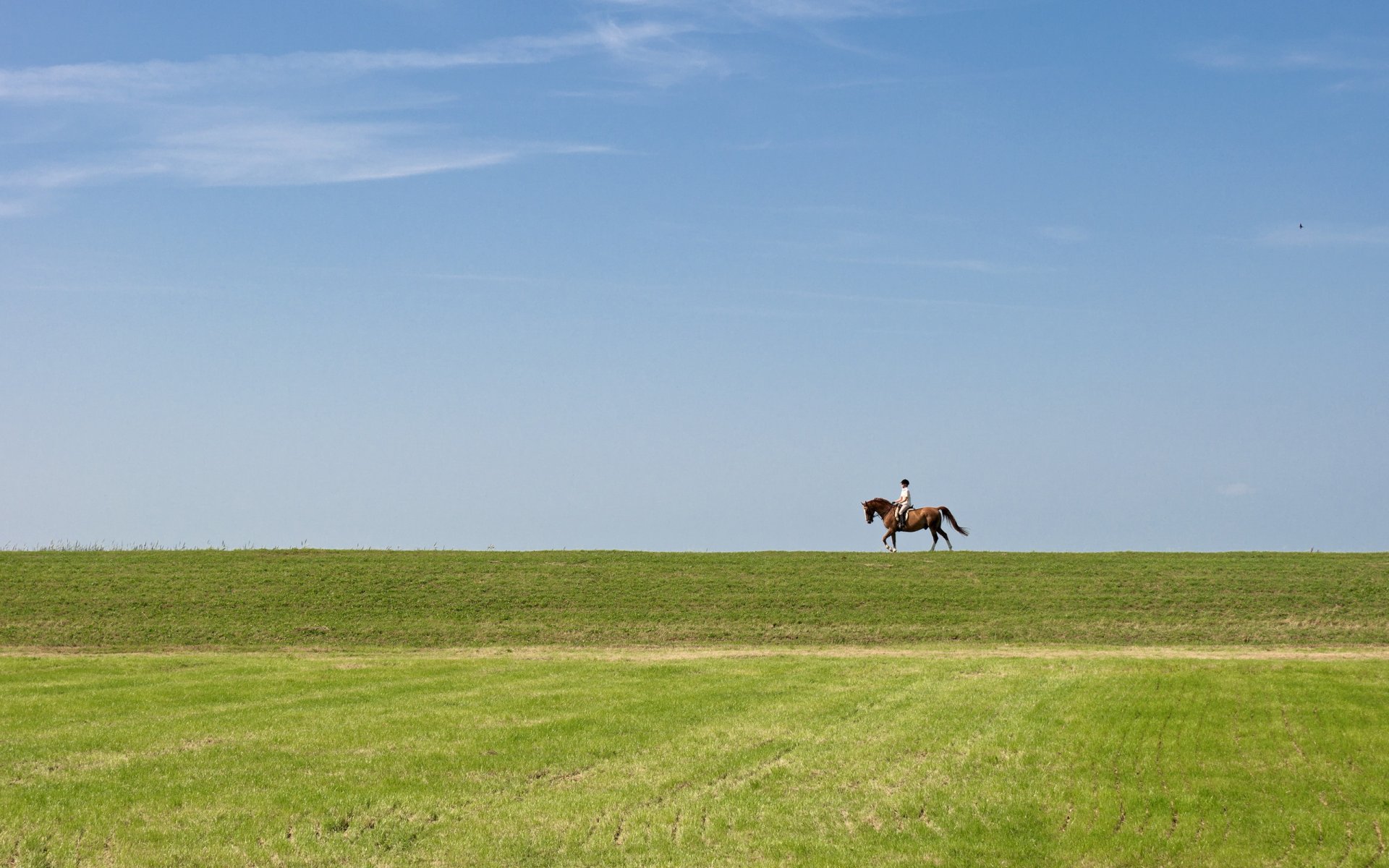 cavaliere campo cielo