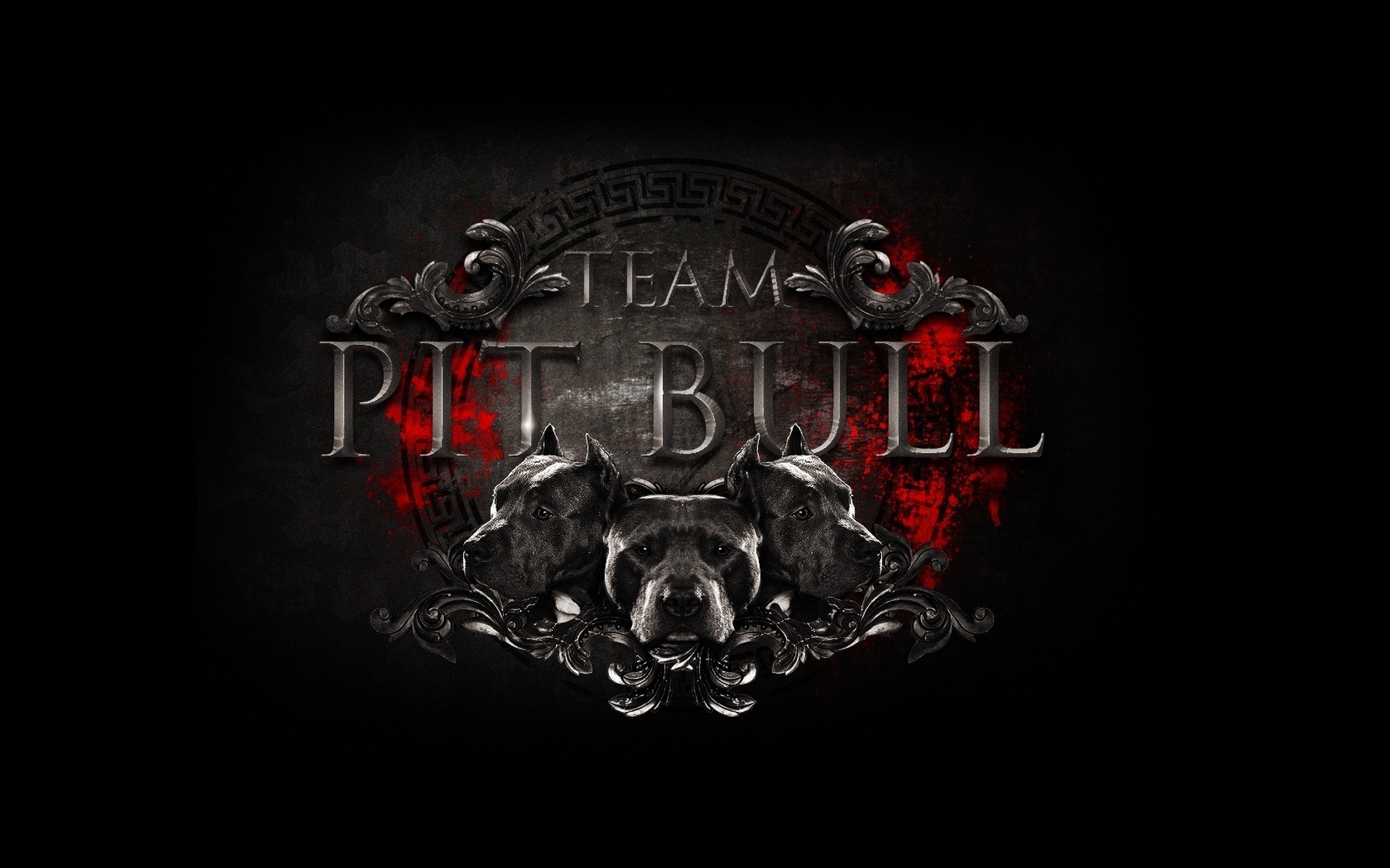 mixed martial arts pitbull team emblem wahrzeichen fight club