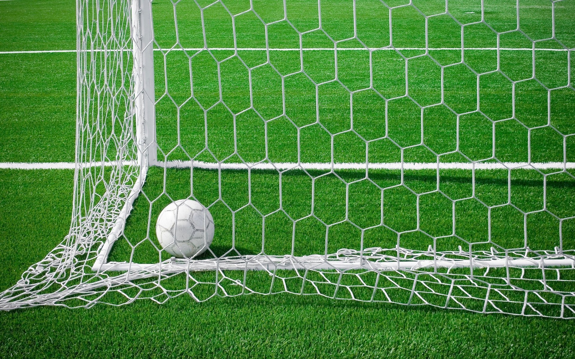 the field ball gates goal net stadium grass football