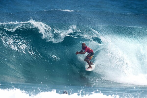 Surfer conquers the wave