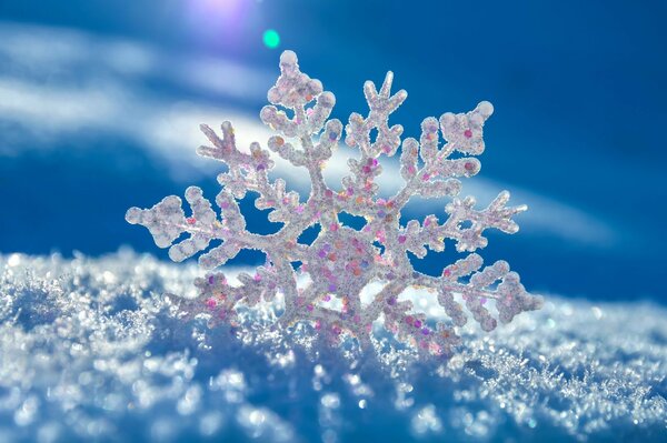 A white snowflake speckled in the snow