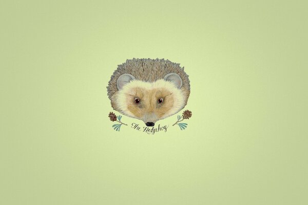 A painted hedgehog on a yellow background