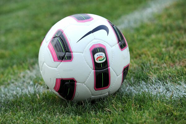 Pallone da calcio sull erba