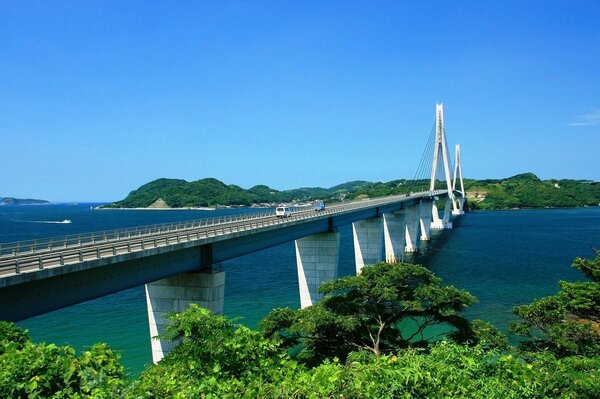 A long bridge across the river on a background of greenery