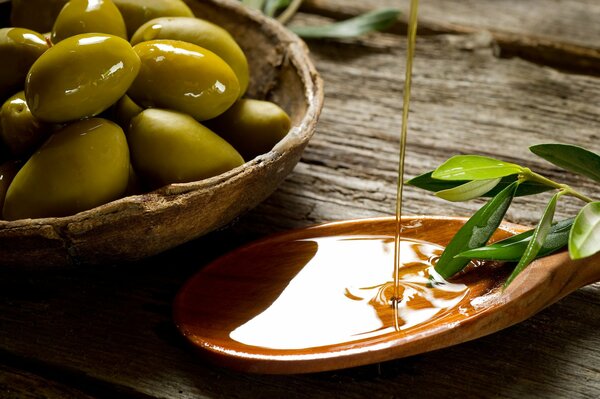 A saucer with olives and a sprig of olive tree