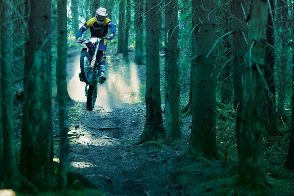 Motocycliste sur un vélo Monte dans la forêt