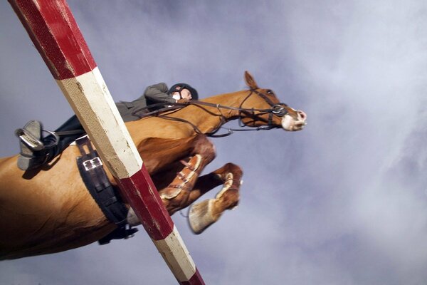 Un cavalier sur un cheval saute la barrière