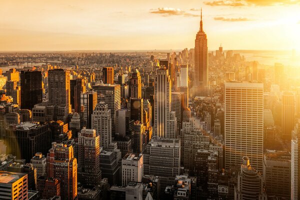 En Manhattan solo se pueden encontrar rascacielos