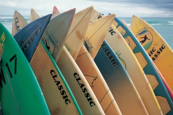 Des planches de surf Solitaires attendent leurs maîtres