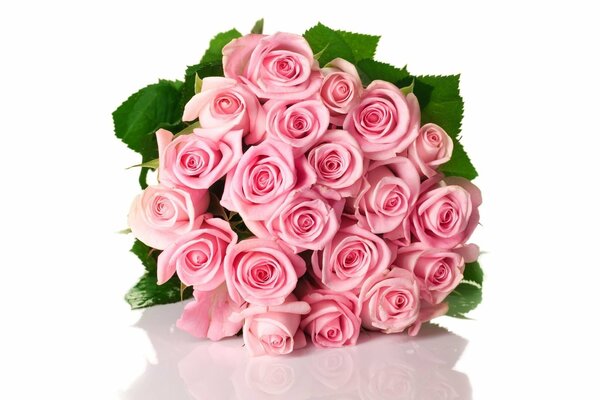 Bouquet de roses sur fond blanc