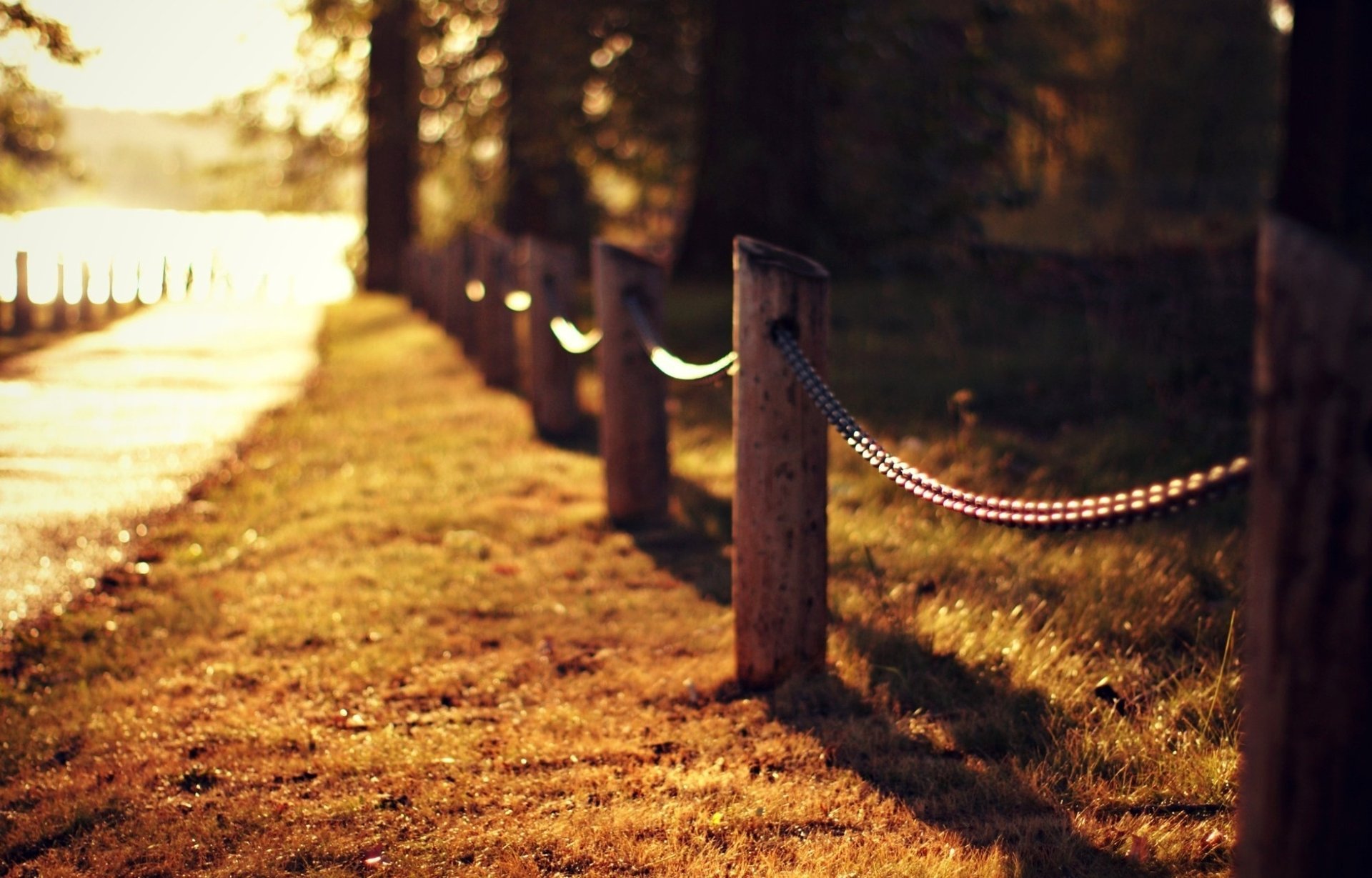 road trees grass light lawn fence the fence