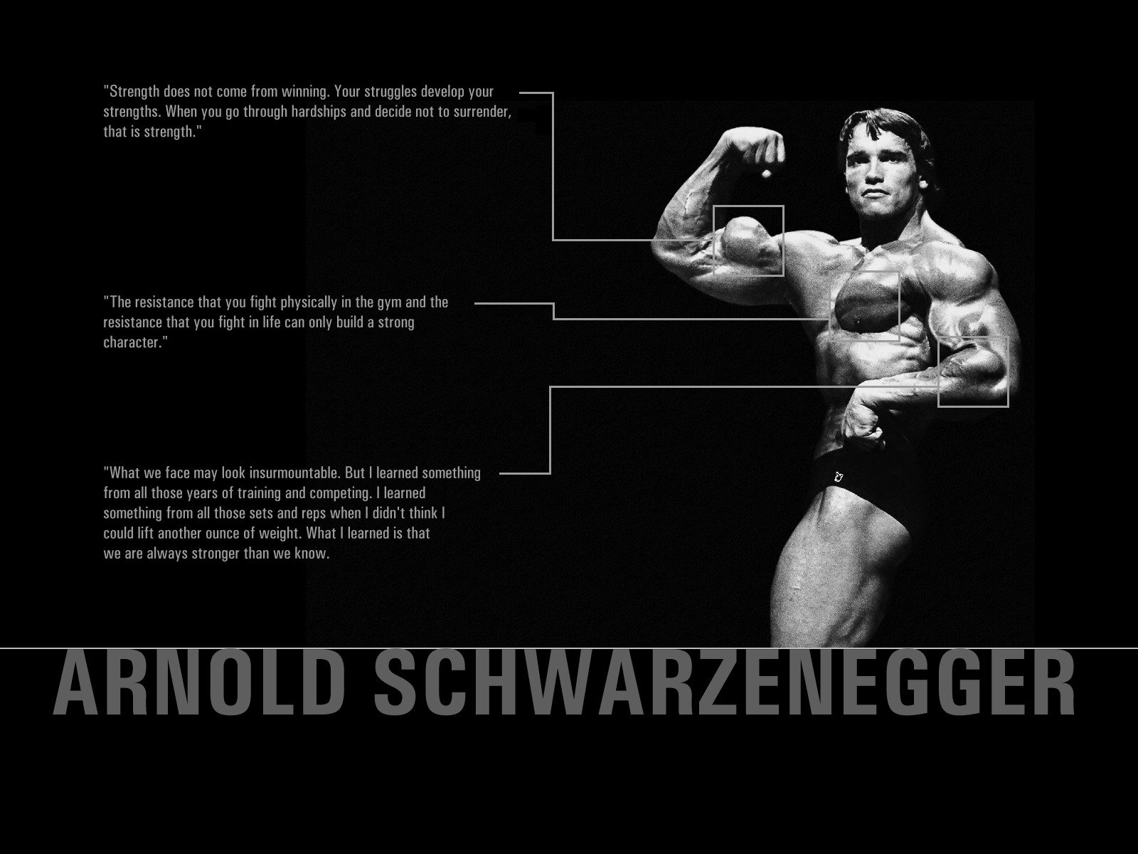 arnold schwarzenegger kraft zitate körper muskeln