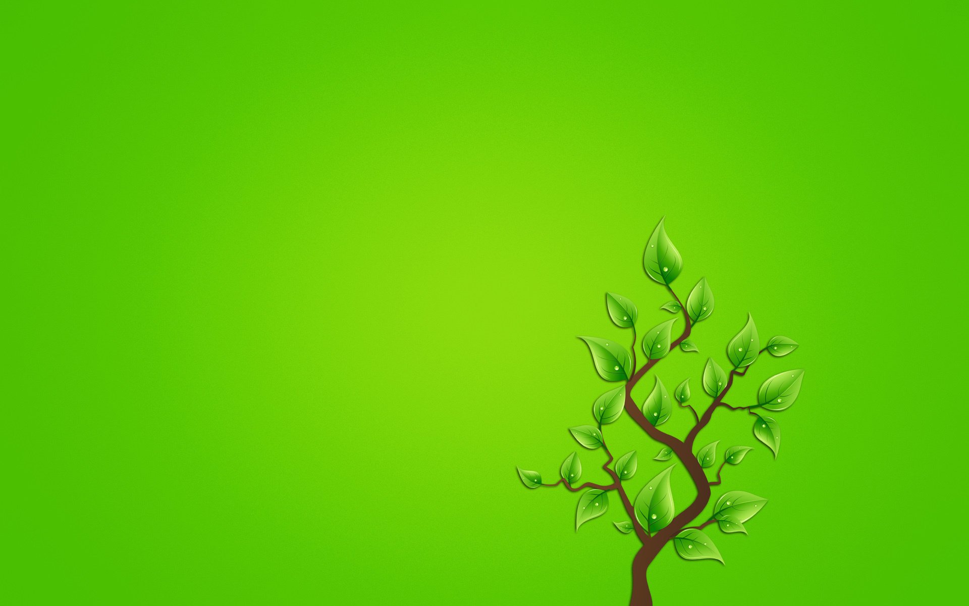 minimalism branch leaves tree greenish background