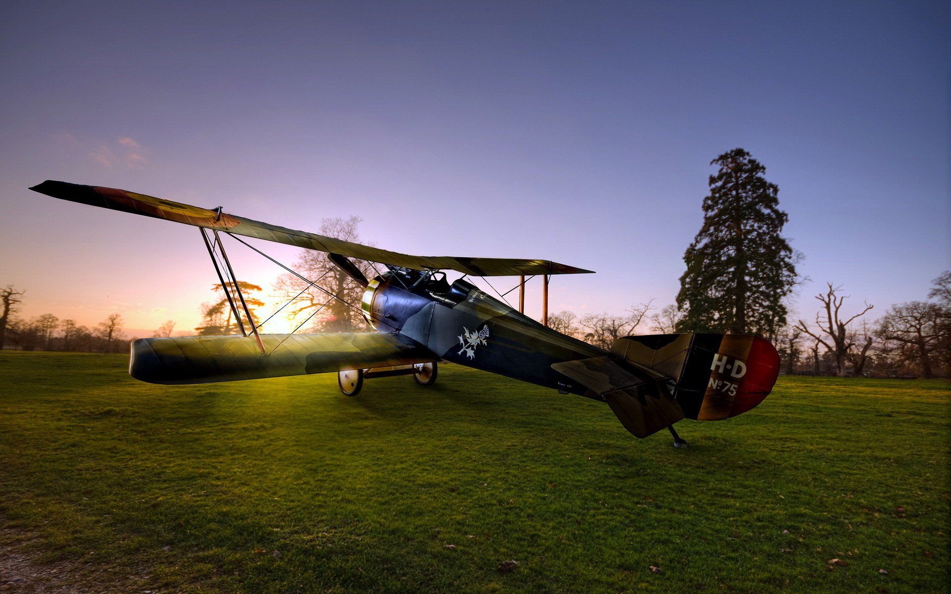 aereo aviazione mattina