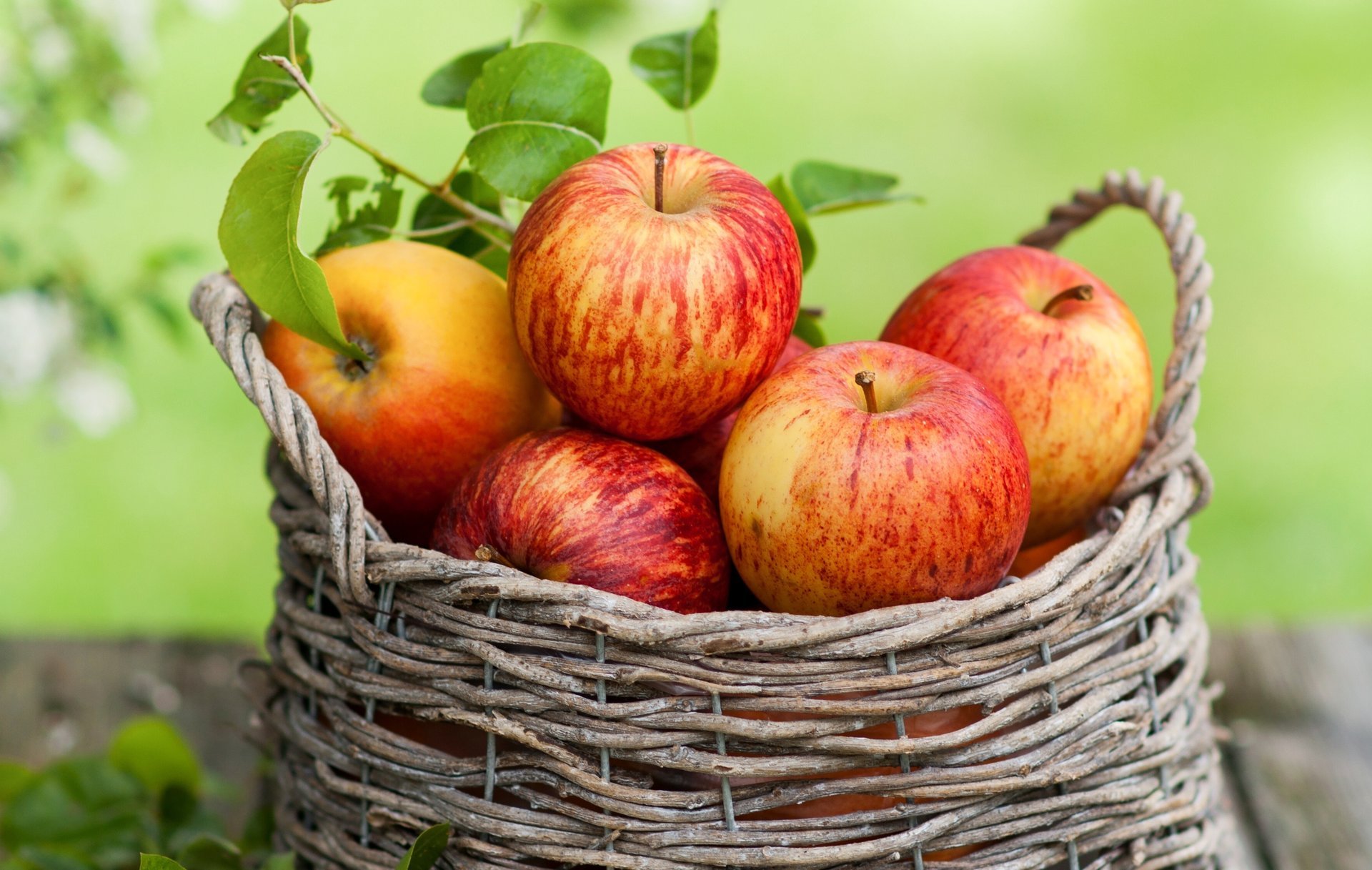 manzanas cesta fruta hojas otoño