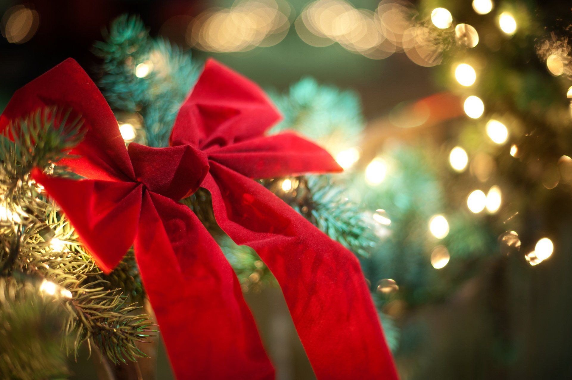 navidad luces rojo árbol de navidad año nuevo arco