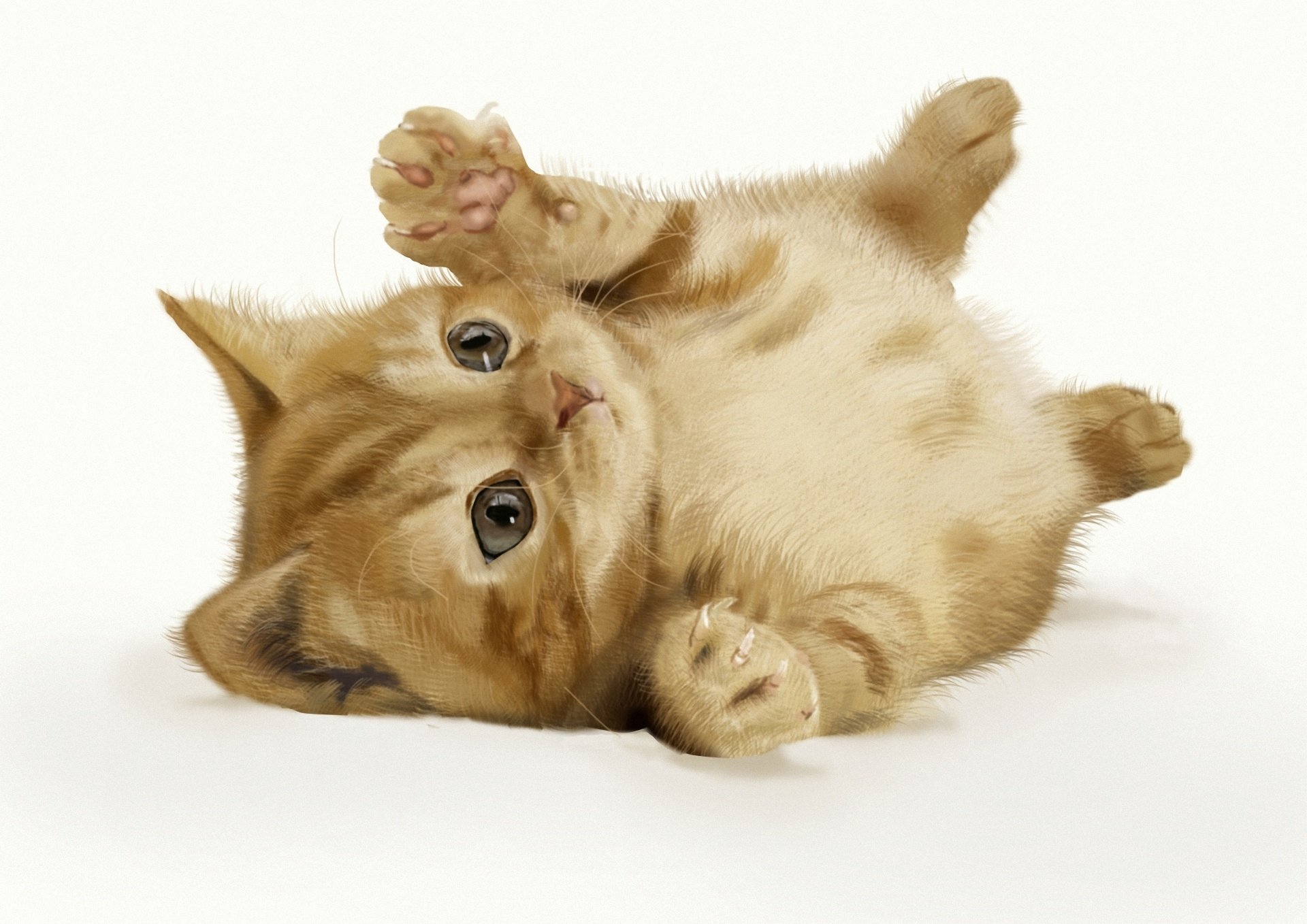 red lying cat art background kitty