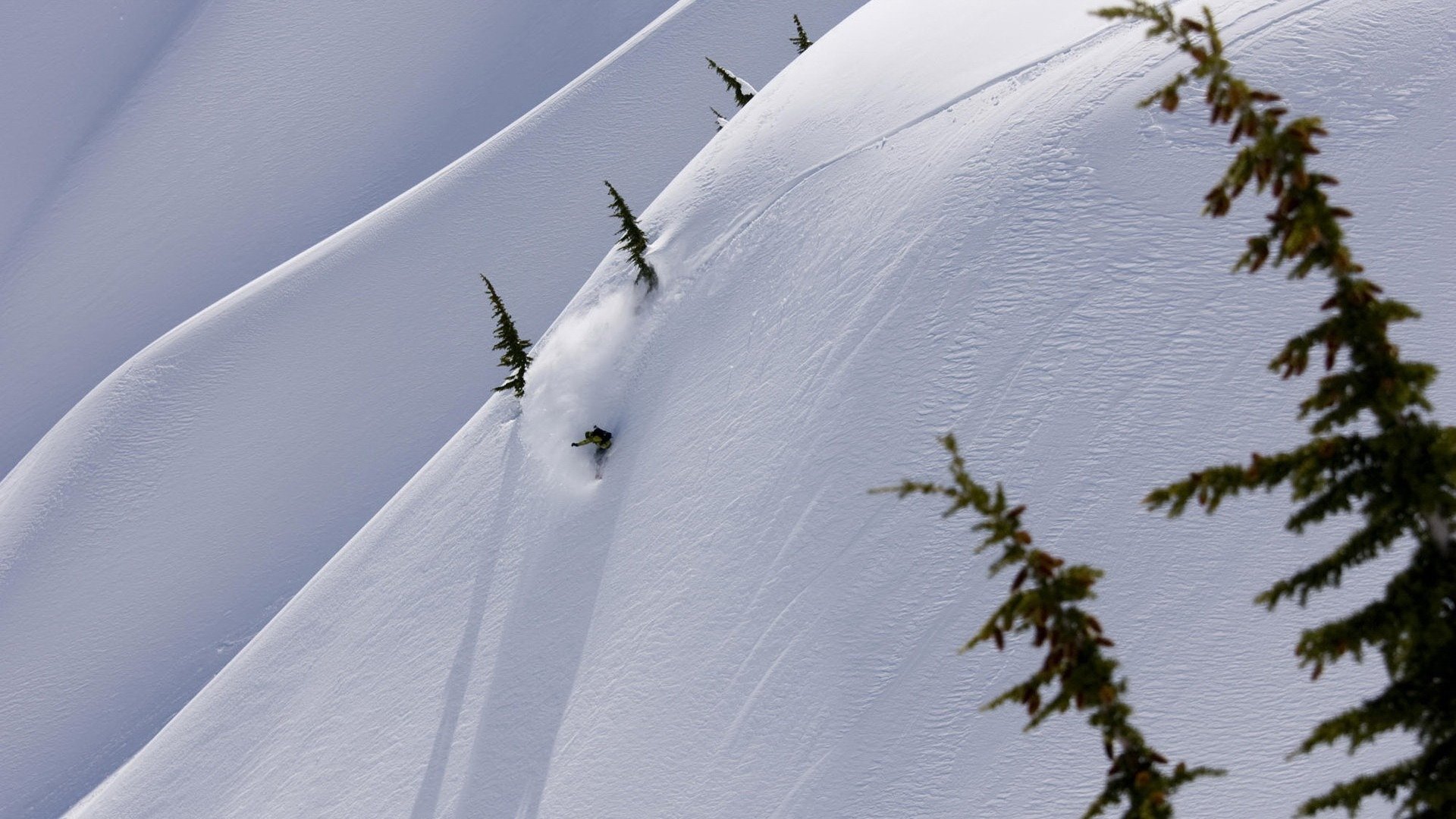 montagna inverno neve discesa alberi di natale snowboard snowboarder velocità adrenalina