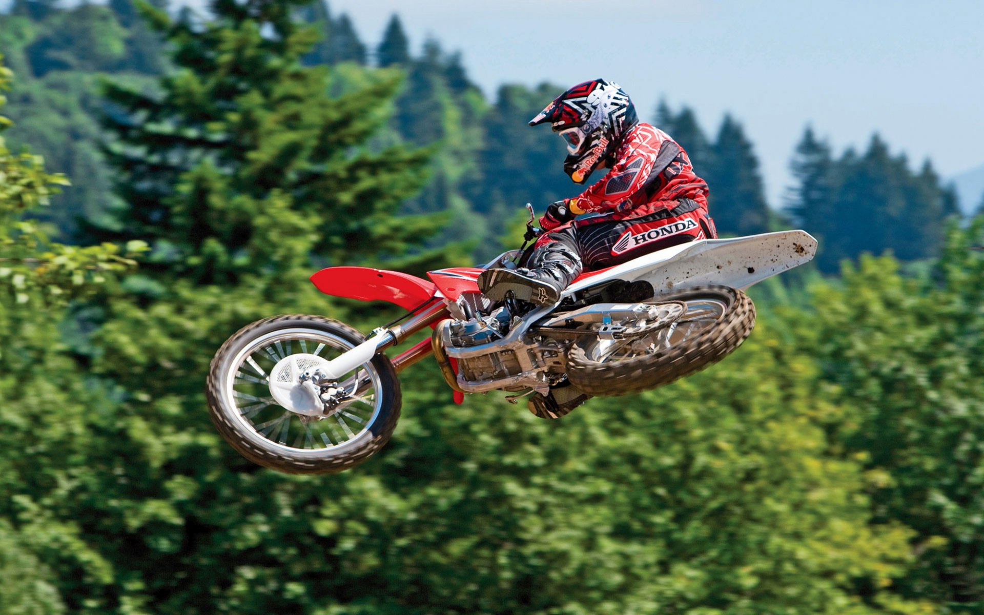 moto alberi volare cielo