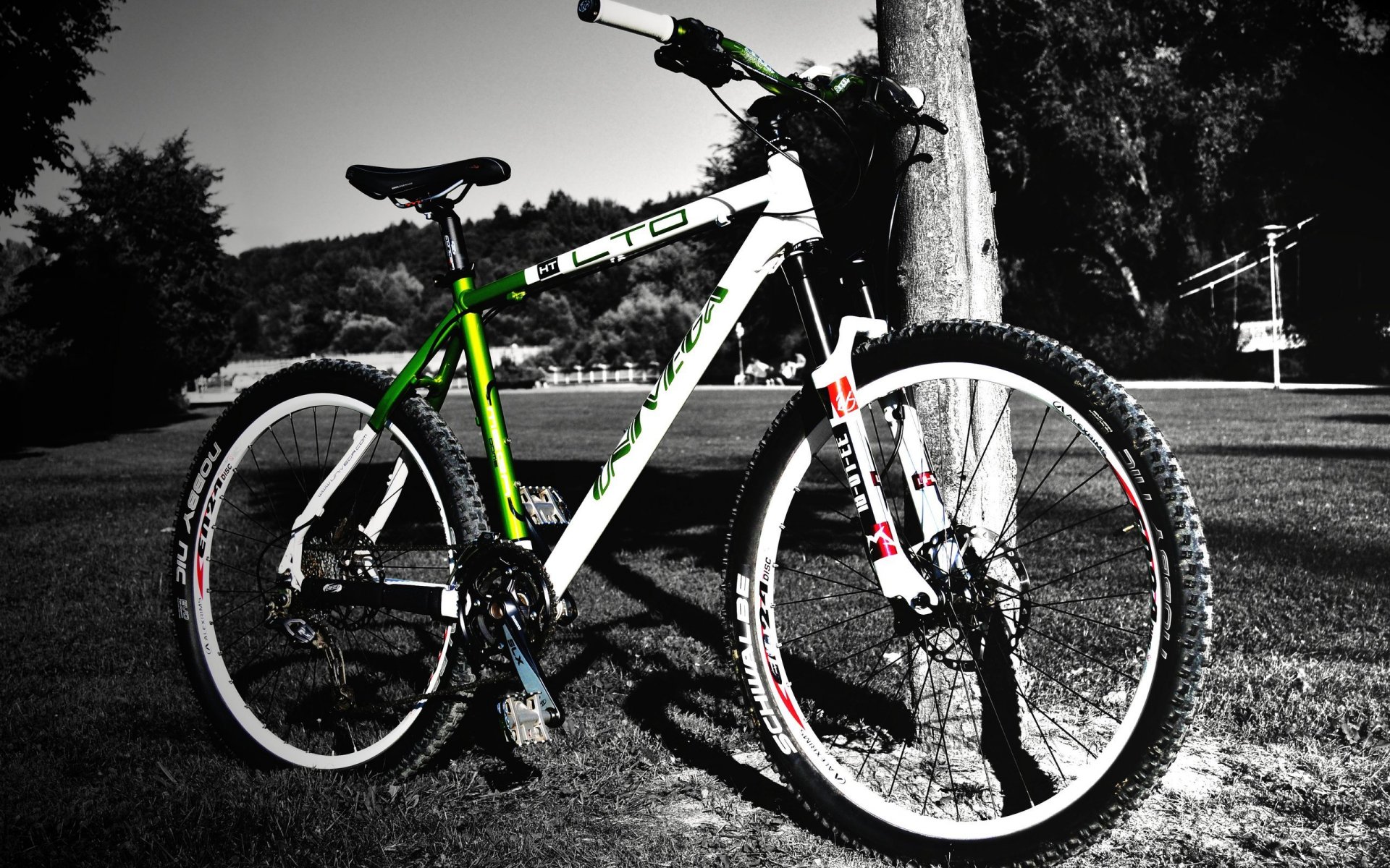 vélo arbre fond noir et blanc