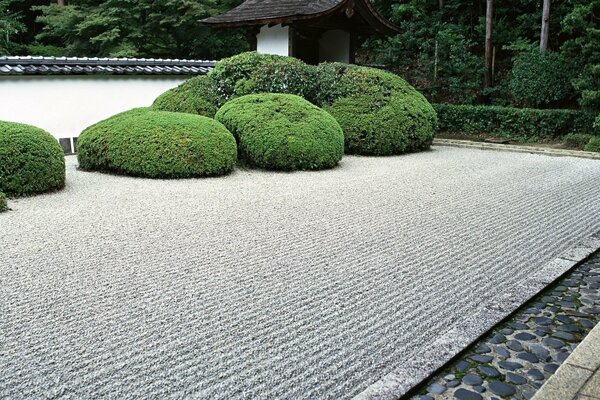 Jardín japonés con grandes piedras