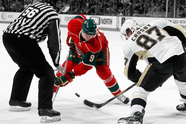 Referee and two hockey players from different teams