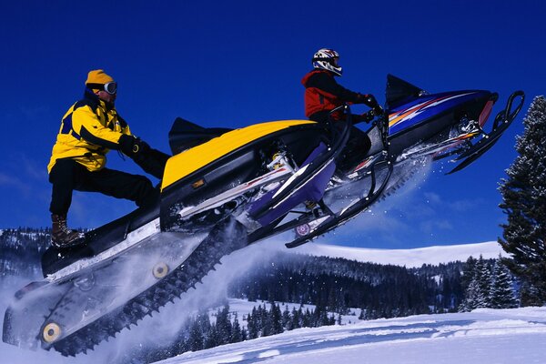 People ride snowmobiles, fir trees in the background