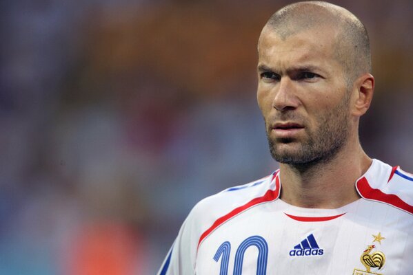 Il calciatore Zidane è una stella sul campo!