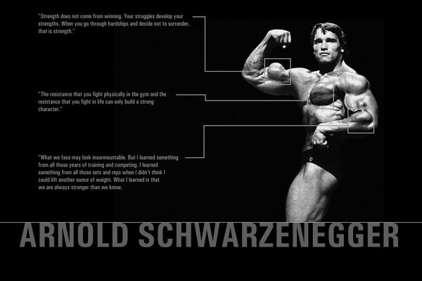 Foto di Arnold Schwarzenegger in posa da bodybuilder con enfasi sui bicipiti e citazioni