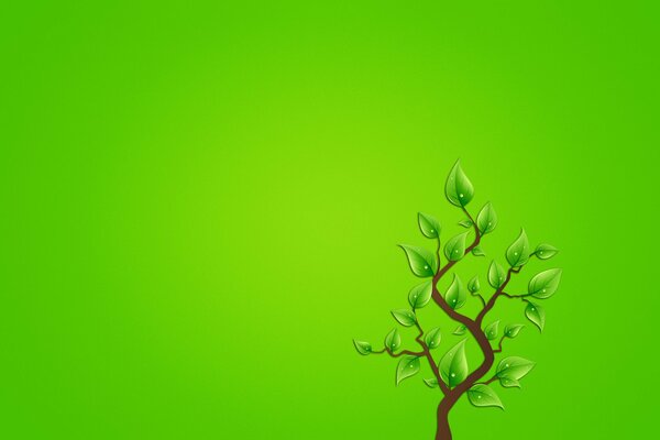 Baum mit grünen Blättern auf grünem Hintergrund