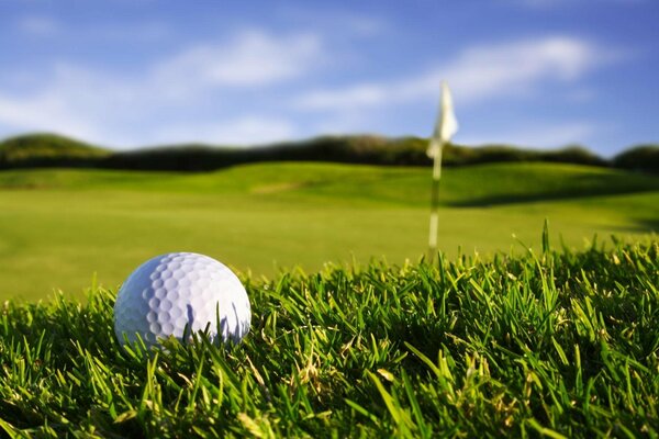 Pelota de golf en el campo verde