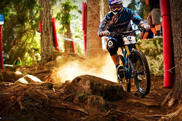 Mountain bike. A cyclist rides off-road through the forest