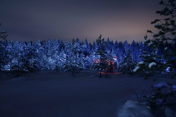Silhouette d un luge dans la forêt de nuit d hiver