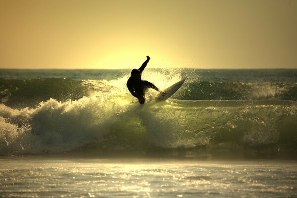 Surfista en el océano atrapa una ola