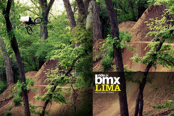 Chico haciendo Ciclismo extremo en el bosque montañoso