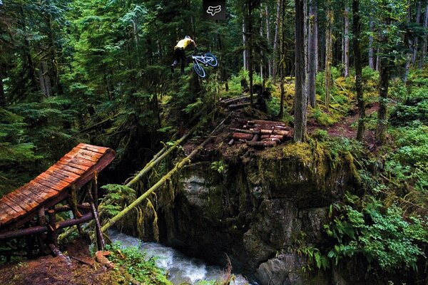 TRAMPOLÍN EN EL BOSQUE A TRAVÉS DEL RÍO