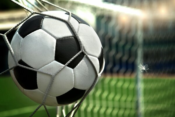 A soccer ball pulls the net